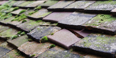 Pinged roof repair costs